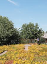 Just up a ladder is the green roof, which is planted with maintenance-free sedums and tall grasses near the patio that Monkman tends carefully.  Search “planting green roof tips” from An Art Studio That Would Make Picasso Jealous