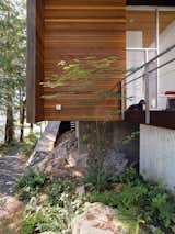Outdoor, Walkways, Boulders, Trees, Shrubs, and Side Yard The cantilevered main floor creates space for bracken fern and other indigenous vegetation to flourish.  Search “charming urban gardens” from When Living on the Edge is Super Comfortable