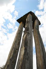The towering sculpture of natural, untreated wood rises far above the pathway.