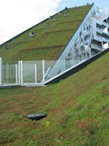 On two of the Eight House's sloping roofs are more than 2,000 square feet of green roofs. The goal was to reduce the urban heat island effect and increase the efficiency of the building as well as reference the farmlands and protected space to the south.