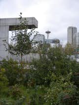 My running destination was the Seattle Art Museum's Olympic Sculpture Park, which we voted one of the world's best public parks in our June 2010 issue. In the background, the iconic Space Needle, which was built in 1962.