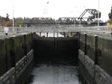 Next, at editor Jaime Gross's suggestion, I headed north to Ballard and to the Hiram M. Chittenden Locks, more often referred to as simply the Ballard Locks. Connected to the Carl S. English, Jr. Botanical Gardens, the area offers quite a lot to take in. I was fortunate enough to catch two fishing boats pass through the locks—which mitigate the 20-22 foot difference between Lake Washington and Lake Union and prevent the mix of Puget Sound's saltwater with the lakes' freshwater. The most popular attraction here, however, is the fish ladder, which allows salmon to make their migratory runs and features five viewing windows, where I spotted a couple handfuls of nearly four-foot-long fish.