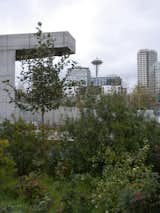 I approached the park from the south, jogging past the Edgewater Hotel and Port of Seattle along Alaskan Way, and entered at the southwest corner, with the slope—and the Space Needle—to my left.  Search “a rational approach” from Olympic Sculpture Park