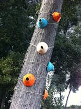 Humming Bird Hide-Away, sculpture installation created by Diablo Valley College student Christina Jirachachavalwong.