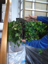 Custom cells were fabricated for the corner conditions.  Photo 8 of 14 in Pulltab's Mini Vertical Garden by Jaime Gillin