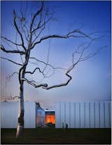 Roxy Paine, Askew, 2009, installed next to West Building, North Carolina Museum of Art.