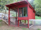 Another view of the finished coop.  Photo 11 of 12 in Cool Chicken House by Jaime Gillin
