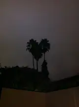 Hollywood Renovation: Week 4