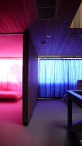 Hollywood Renovation: Week 4 - Photo 9 of 13 -