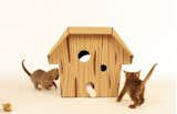 A playful house for cats, crafted out of cardboard by Loyal Luxe exhibited at this year's show.