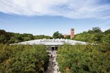 The Raymond and Susan Brochstein Pavilion at Rice University (2009).  Photo 15 of 18 in Thomas Phifer: Light on the Subject