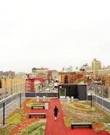 The Brook, a supportive housing building in the Bronx, occupies what had, for years, been a vacant lot. The green roof, pictured here, is one of a number of LEED-driven elements.