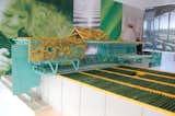 Ruiz proposes to reconnect civilization to the food chain by converting the roof of the big-box warehouse to a hydroponic farm ground that grows plants in water, without the use of soil.
