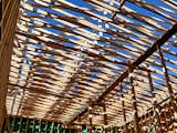 A beautiful shot of the roof's framing. Photo ©2011 epic software group, inc.  Photo 17 of 18 in An 'Epic' Container Co-op