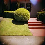 PuiQuan Cheng, "West Portal Topiary."  Photo 10 of 15 in Rayko's Plastic Camera Show by Jaime Gillin