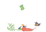 Pest Practices