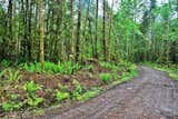 The original access to the site consisted of an existing logging road. The road would eventually require widening to meet requirements. Orange tags wrapped trees that would need to be thinned per our Forest Management Plan.  Photo 15 of 17 in Building the Maxon House: Week 3 by Lou Maxon