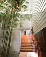 The bamboo garden, home to Oscar the tortoise, abuts the walkway leading to the central courtyard.