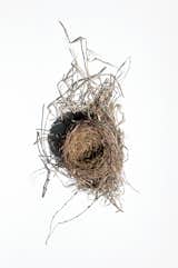 One element I like about this book is that as much attention is paid to research and documentation as architecture. We actually see more images of nature and inspiration for the firm's Ford Calumet Environmental Center in Chicago than we do of buildings. Here's a bird's nest.