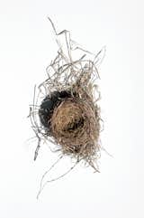 One element I like about this book is that as much attention is paid to research and documentation as architecture. We actually see more images of nature and inspiration for the firm's Ford Calumet Environmental Center in Chicago than we do of buildings. Here's a bird's nest.  Photo 5 of 15 in Reveal: Studio Gang Architects by Aaron Britt