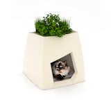  Photo 5 of 5 in Pousse Creative's Pet Houses