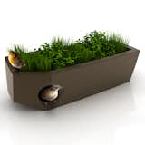 Pousse Creative's design for a birdhouse with a "green roof."  Search “green design” from Pousse Creative's Pet Houses