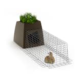 The enclosed run allows your pet to roam safely and securely.