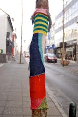 There were also examples of knit graffiti in Reykjavik, like this tree, not painted, but covered in a colorful sheath.  Photo 12 of 20 in Colors of Iceland by Bradford Shellhammer