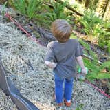 One of Jack's favorite activities has been visiting the site and collecting bugs and insects of all sorts. Here he checks out his options while standing at the slope's edge.  Photo 7 of 11 in Building the Maxon House: Week 12