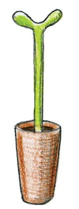 1993

Stefano Giovannoni designs Merdolino toilet brush for Alessi.  Search “奢侈品鉴定培训权威机构上海【A+货++微mpscp1993】” from Un'Introduzione al Disegno Italiano