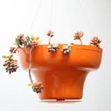 Wallter will introduce this new planter Pot at Dwell on Design in Los Angeles June 24-26, 2011.