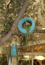 The Dwell Outdoor trees were enlivened by blue garden spheres and hanging circle pots from L.A.-based Potted.  Photo 5 of 11 in From the Show Floor: Dwell Outdoor by Erika Heet