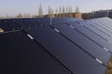 Sulfurcell solar panels.  Photo 9 of 12 in 2011 Dwell on Design Awards