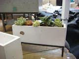 The world's smallest succulent garden from The Ranch Design Group.