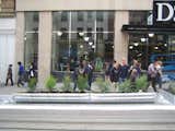 There are a handful of different typologies for the eight sections. Here you can see one dominated by planters. Others have benches, railings, and solar panels meant to power the 12 linear feet of lighting in the grating on the ground.