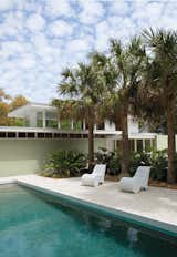 Rebirth of the CoolThe Sunshine State once yielded a bumper crop of modernist homes that—as this remodel proves—are still worth savoring.  Photo 10 of 14 in Sexy Beast: Drool-worthy Pools by Bek Gilsenan from Rebirth of the Cool