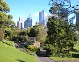 The Royal Botanic Gardens creates a bubble of nature in the middle of the bustling city yet here and there you're met with astounding views of the Sydney skyline. Reaching up toward the clouds are the Chifley Tower (center) and the Deutsche Bank Place (to its left with the white frame and two spires), among others.  Photo 3 of 12 in Touring Sydney, Part 2 by Miyoko Ohtake