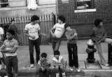 Here's one of the dozens of images in Stephen Shames's "Bronx" series.