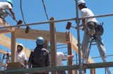 The construction crew erected the Onjuku House frame in just one day, using wooden mallets to coax each piece into position.  Photo 3 of 4 in Video: Prefab Japanese Joinery