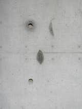 The concrete was poured in forms on site, a location that originally was and still is scattered with cherry trees. Though not intentional, several cherry tree leaves fell into the forms, creating three impressions in the concrete wall (two of which are shown here).