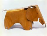 A molded plywood elephant designed by Charles and Ray Eames in 1945. The molded plywood division of Evans Products Company was kept busy by the Eameses, first during World War II manufacturing splints and stretchers, then afterward with their sturdy molded plywood furniture. The elephant was among their first designs for children.