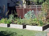 Ian built raised beds for flowers and vegetables and installed a drip irrigation system.
