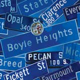 “Boyle Heights used to be a predominantly Jewish neighborhood,” Debora explains. “These street signs hold that heritage as well as the memories of people who live there today, including the gangs that plague the area.”