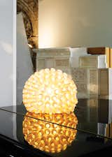 The glowing anemone-like lamp is from Vinçon in Barcelona.