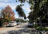 Looking south down our street in Fall.  Search “odegard fall sale” from Dwell Home Venice: Part 1