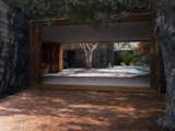 A view from the pine needle courtyard across the living and dining room to the main courtyard. The cropped tree on the right side of the image is the existing mature pine tree which was retained as a key design element.  Photo 13 of 14 in Dwell Home Venice: Part 3