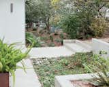  Search “8 landscape designs drought tolerant and native desert plants” from Green Is in the Details