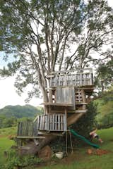  Photo 3 of 4 in Treehouses for my kids by Ryan Nordyke from Grateful Shed