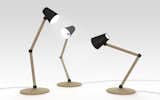 The Companion table lamp is lit by an LED bulb.  Photo 3 of 8 in Salone 2012 Preview: Discipline