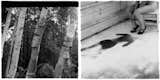 Photos by Francesca Woodman.  Search “francesca woodman sfmoma” from Friday Finds 03.16.12
